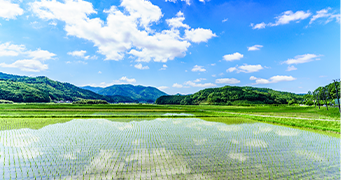 土地探し